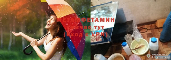 индика Медвежьегорск