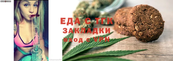 индика Медвежьегорск