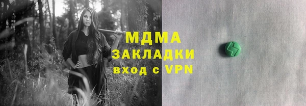 индика Медвежьегорск