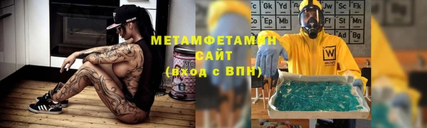 индика Медвежьегорск