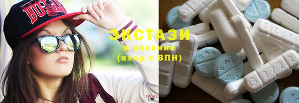 индика Медвежьегорск