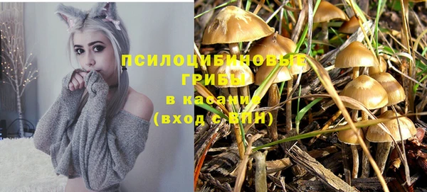 ECSTASY Медногорск