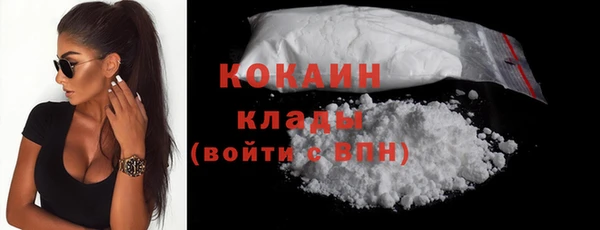 индика Медвежьегорск