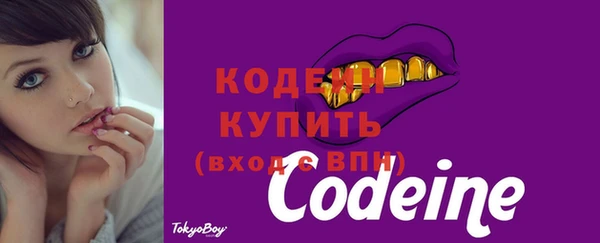 индика Медвежьегорск
