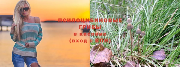 шишки Магас
