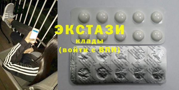 индика Медвежьегорск