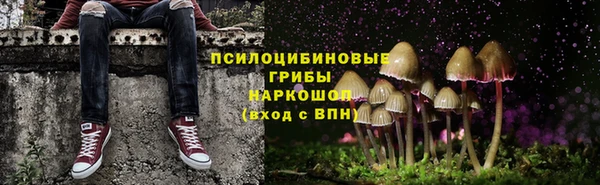 первитин Мегион