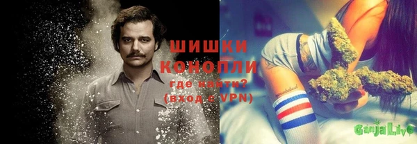 индика Медвежьегорск