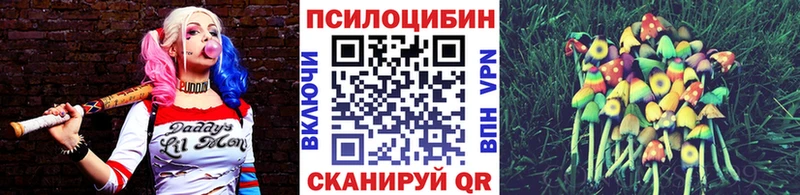Галлюциногенные грибы GOLDEN TEACHER  Геленджик 